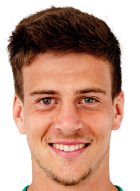 https://img.zsmingo.com/img/football/player/8342ba072cafe8deece7d989a7ebebb8.png